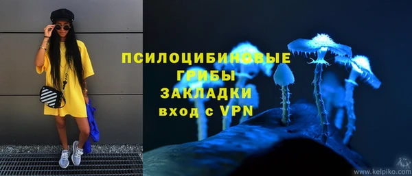 героин Алексин