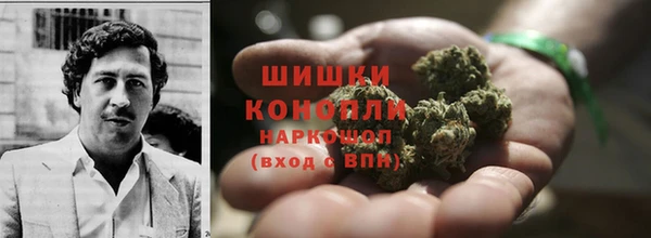 spice Алзамай
