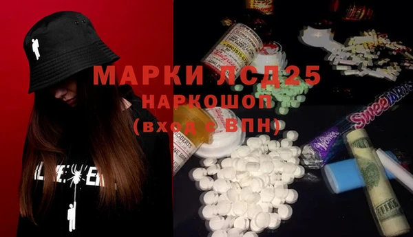 spice Алзамай