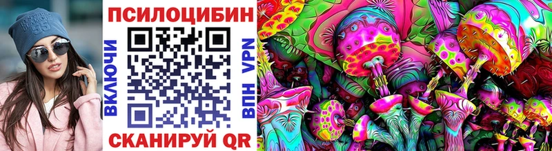 продажа наркотиков  Каневская  Псилоцибиновые грибы Psilocybe 